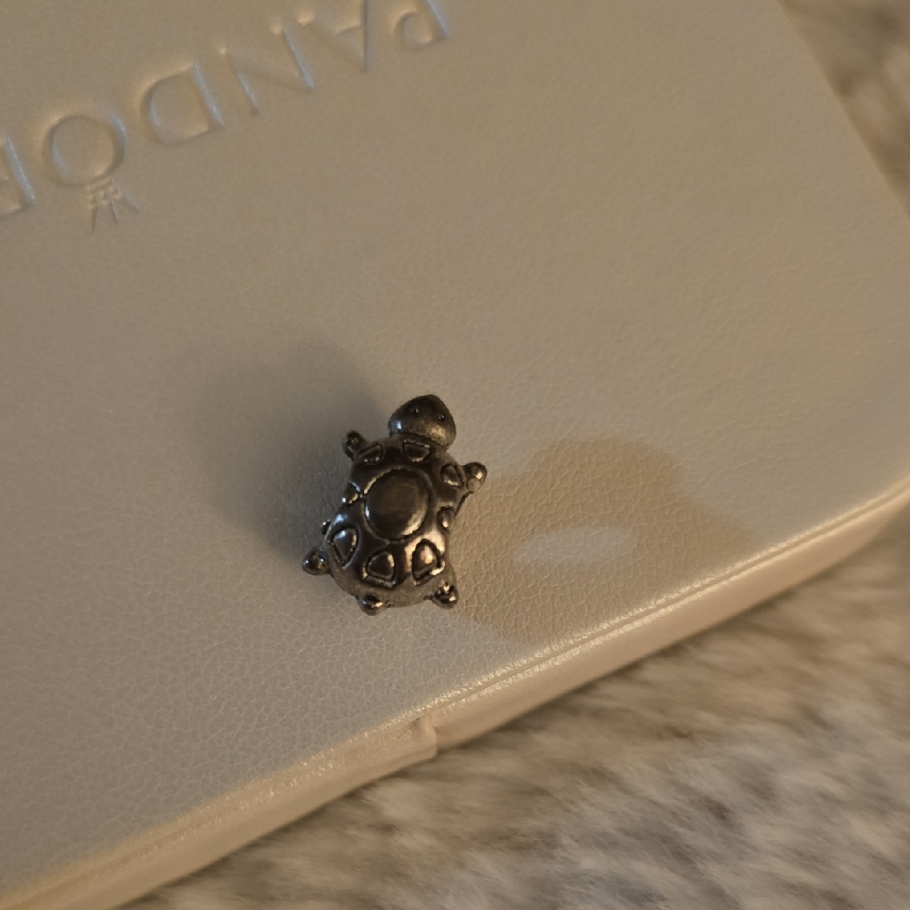 Silver Turtle Charm